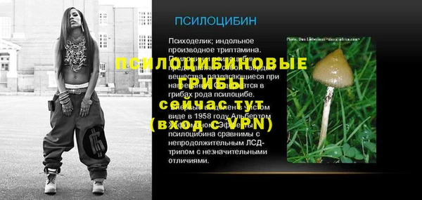 тгк Аркадак