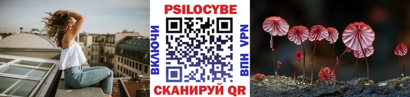 Галлюциногенные грибы Psilocybine cubensis  Волжский 