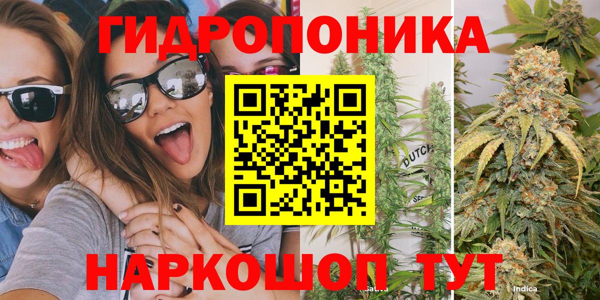 Шишки марихуана Amnesia  Вход с VPN  Волжский  Шишки марихуана марихуана  Бошки Шишки планчик  Марихуана планчик 